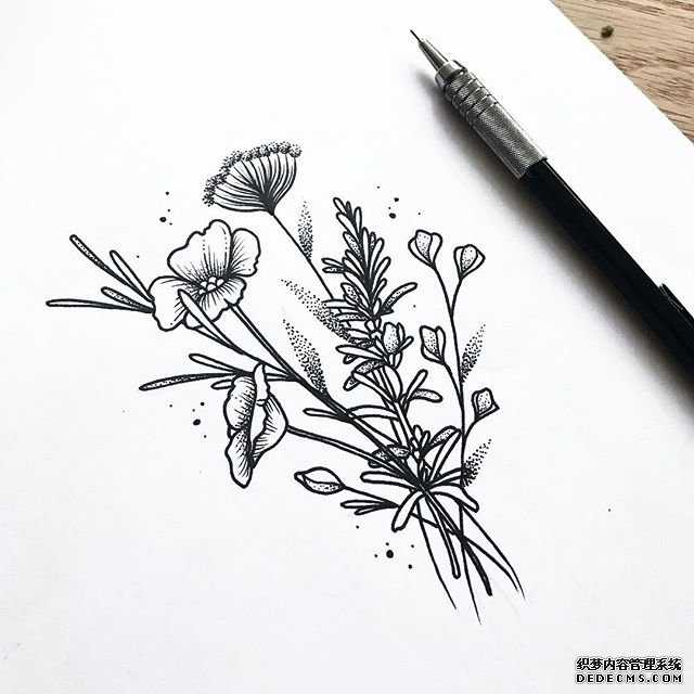 线条简约花卉手稿图案