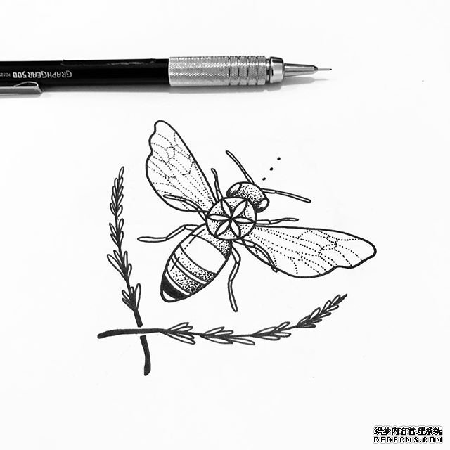 线条简约蜜蜂纹身手稿