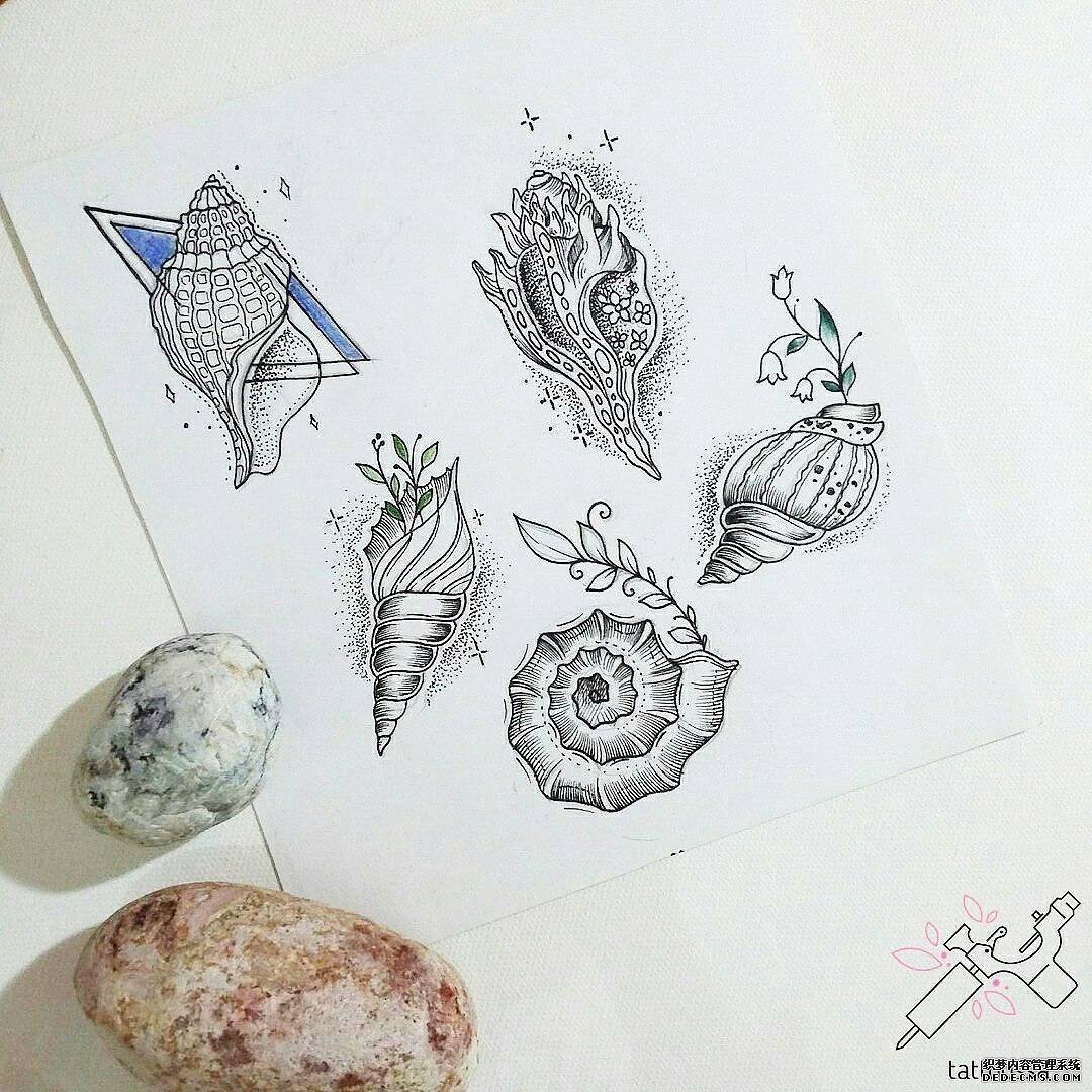 黑灰海螺纹身手稿
