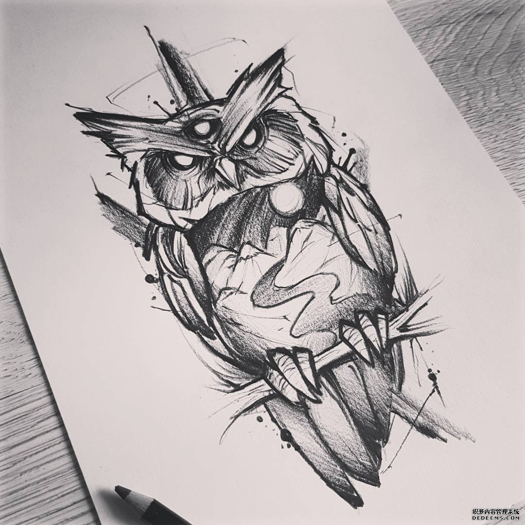 黑灰猫头鹰纹身手稿
