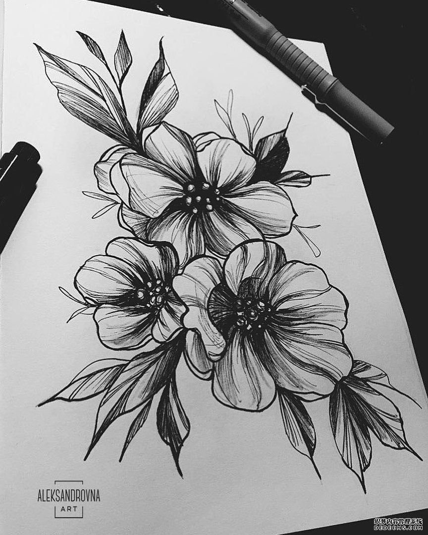 黑灰线条花朵纹身手稿