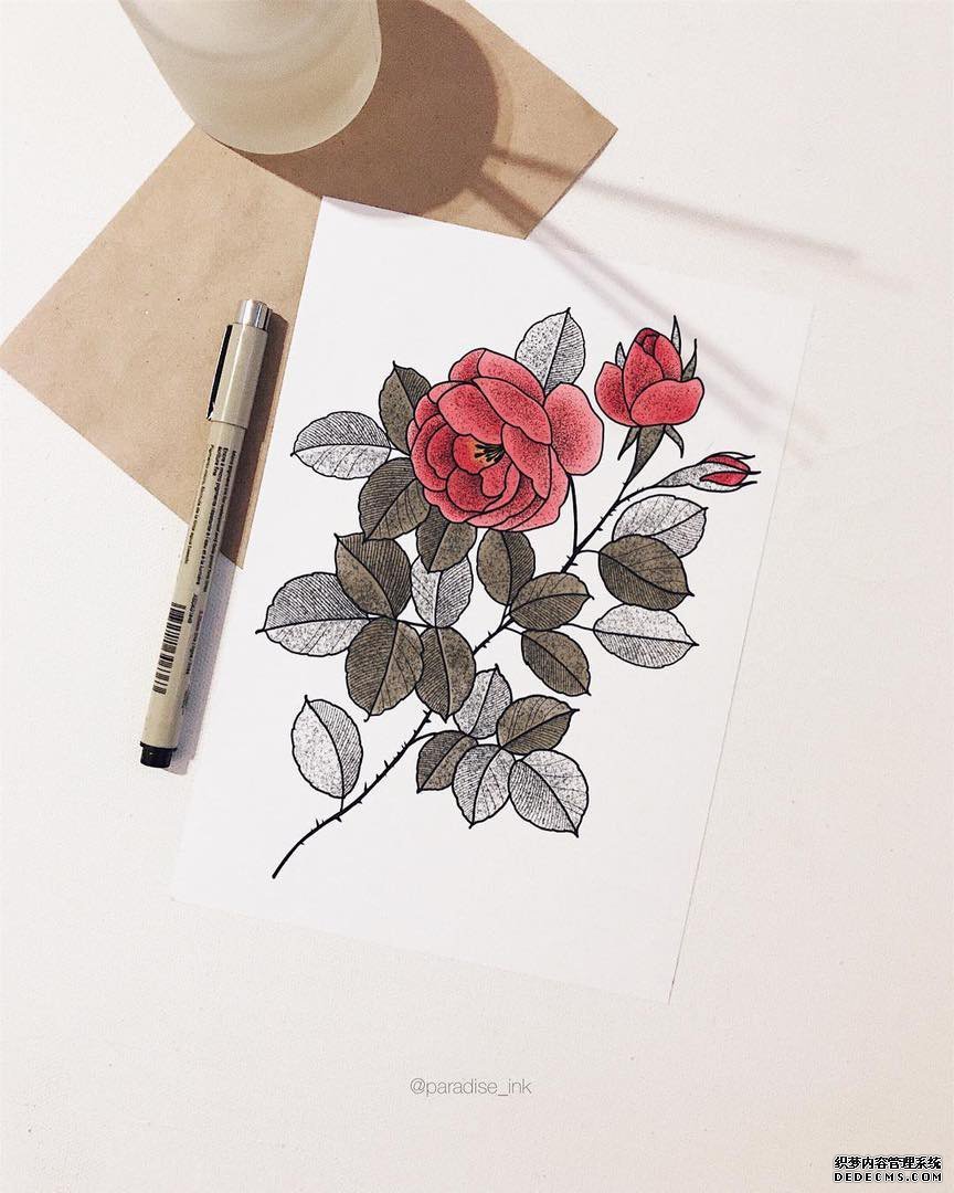 色彩花树叶纹身手稿
