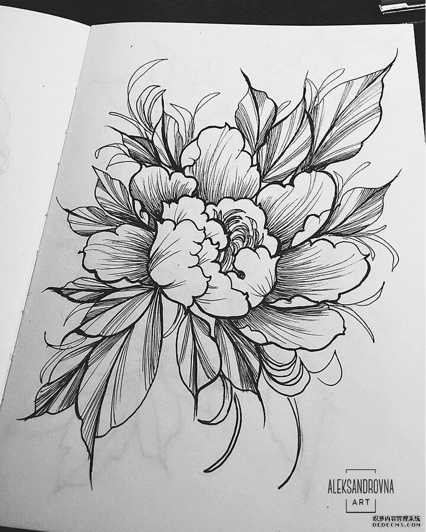 花朵纹身线稿