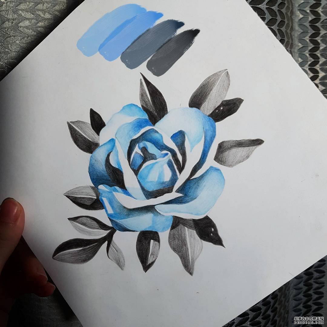 色彩玫瑰纹身手稿