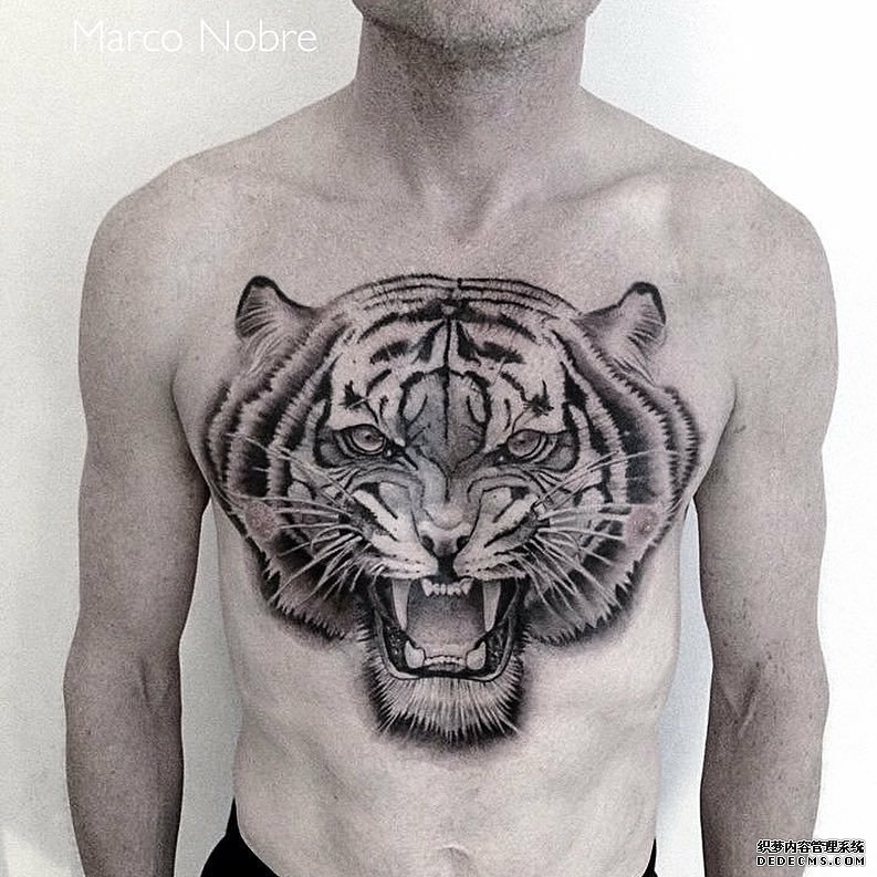 黑灰老虎胸口纹身图案