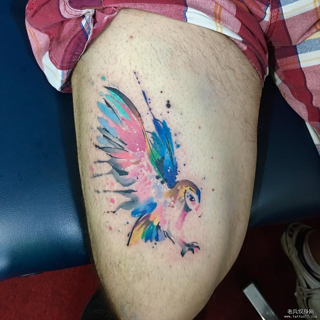 大腿色彩猫头鹰纹身