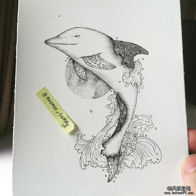 海豚纹身手稿