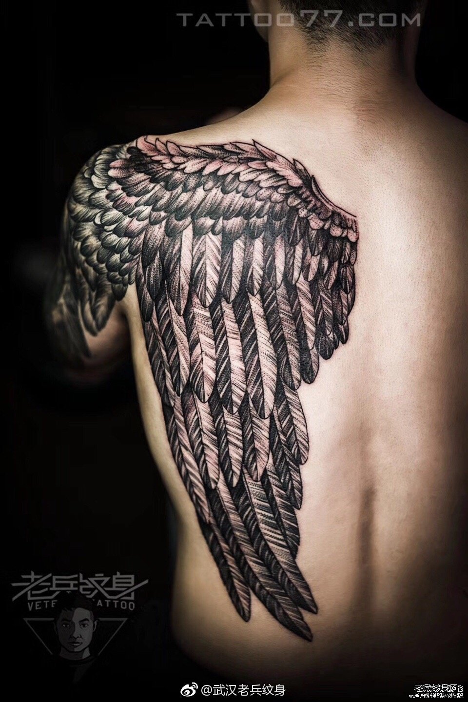 半背翅膀纹身图片