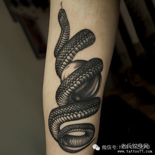 黑灰蛇纹身图案