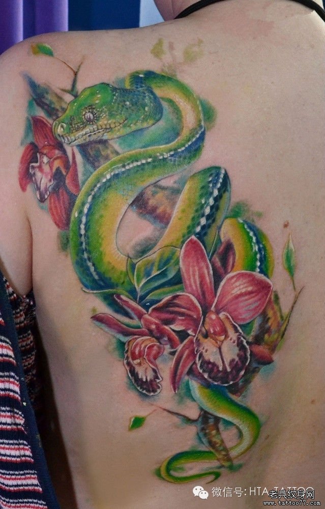 后背蛇花朵纹身图案