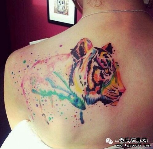 后背色彩老虎纹身图案