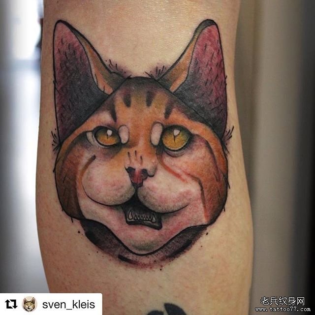 色彩猫小腿纹身图案