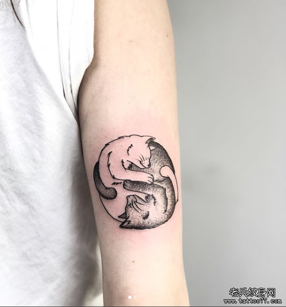 大臂猫咪纹身图案