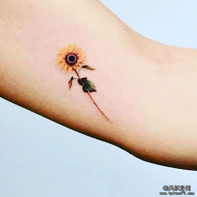 手臂小清新向日葵纹身图案