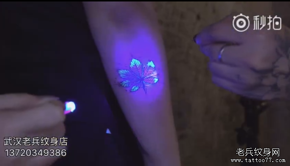 小臂枫叶荧光纹身视频