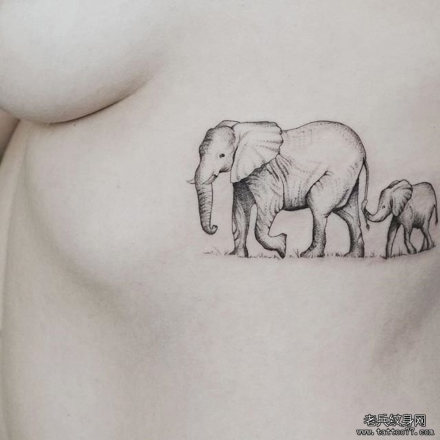 侧腰小清新大象纹身图案