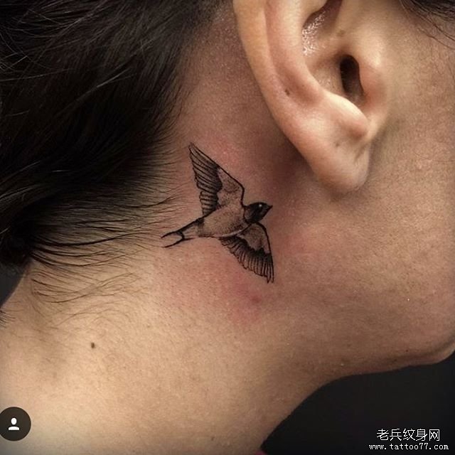 耳后小清新燕子纹身图案