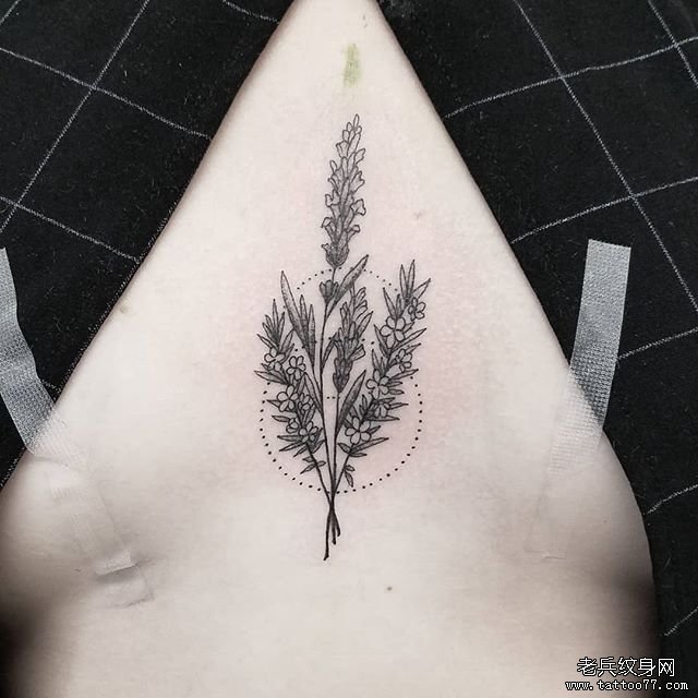 女生个性胸前小清新植物纹身图案