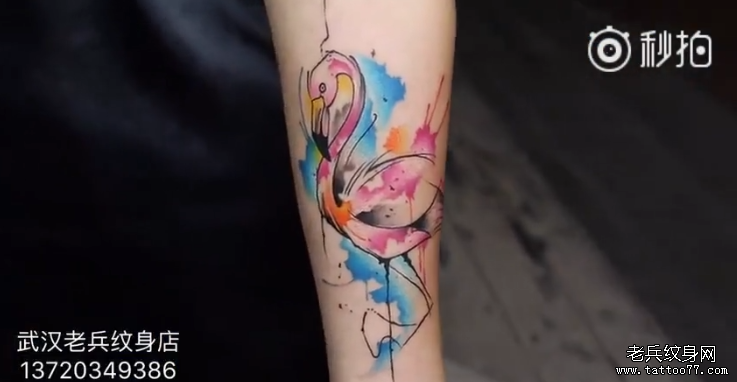 水彩火烈鸟纹身视频