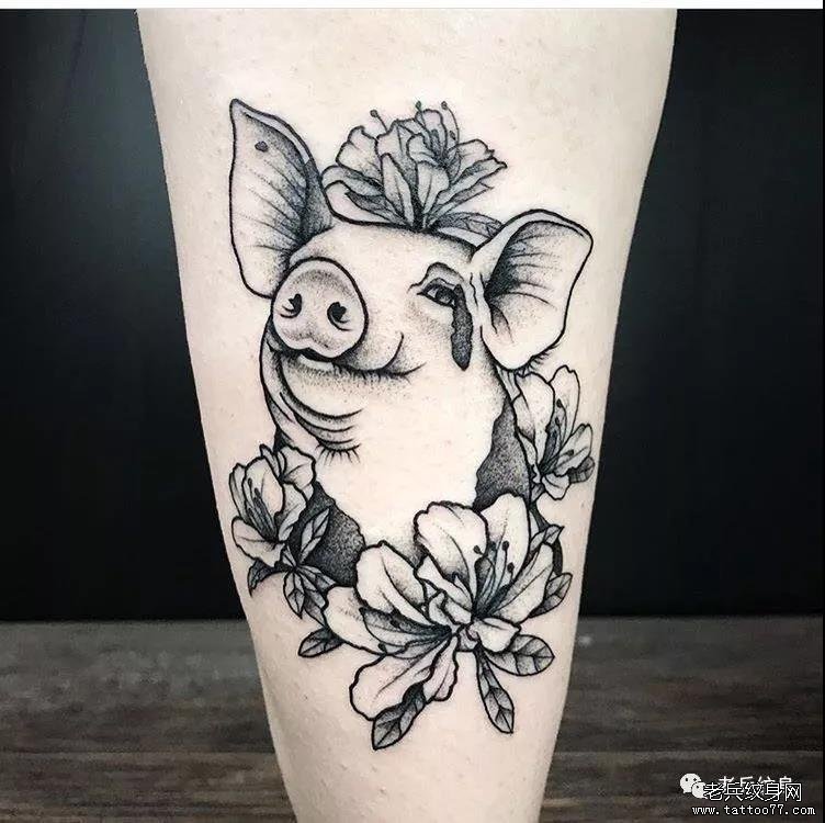 纹身素材第765期——生肖猪