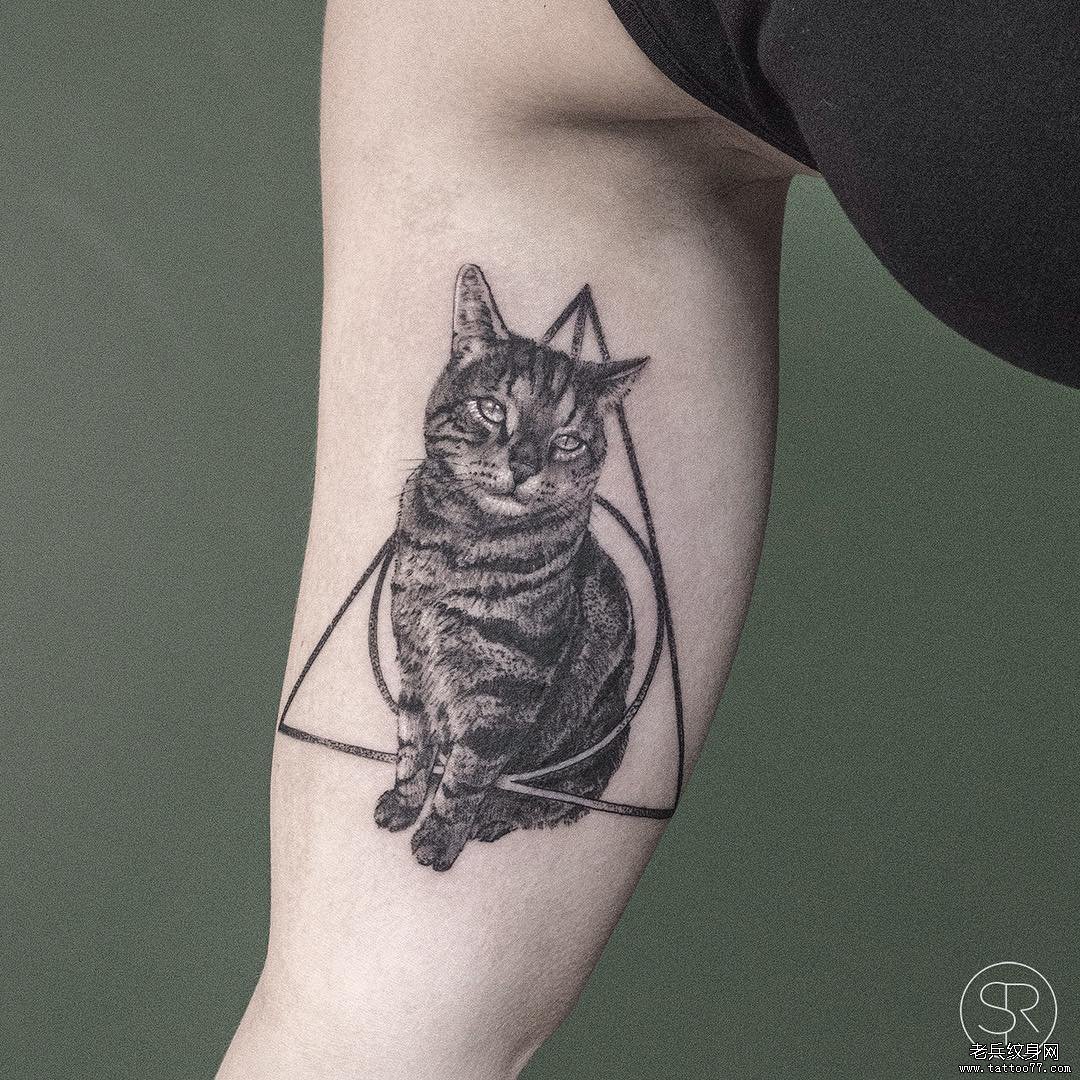 手臂黑灰猫咪几何纹身