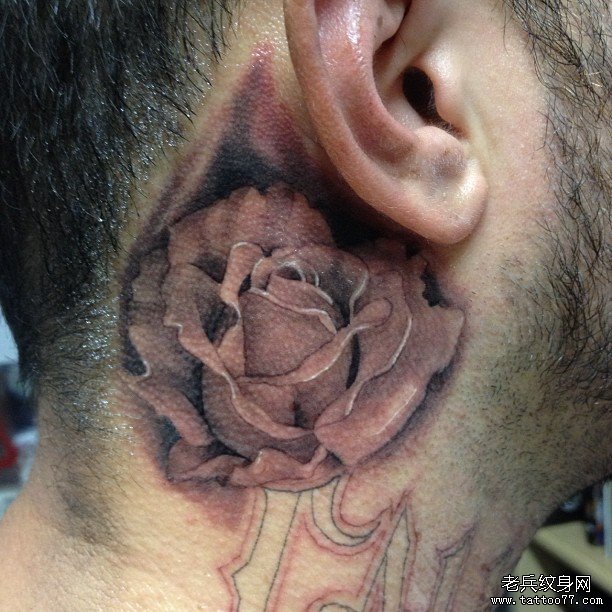 耳后写实玫瑰纹身图案