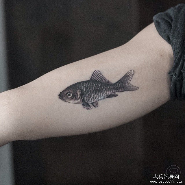 黑灰鱼纹身图案