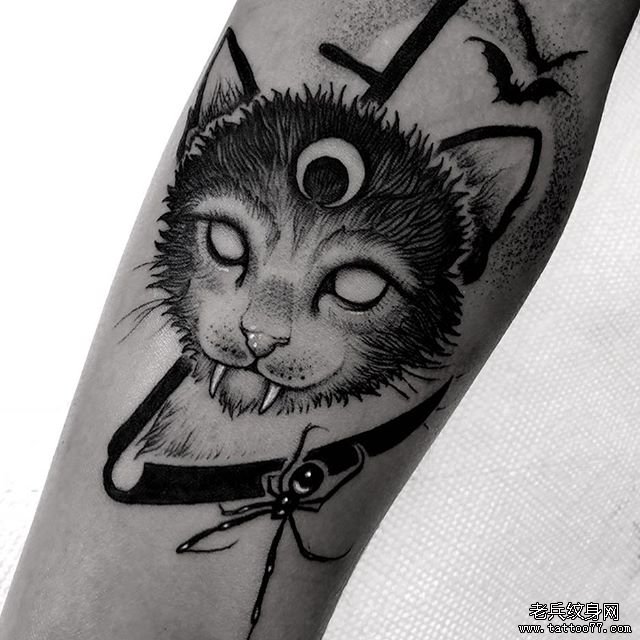 黑灰暗黑猫蜘蛛文身