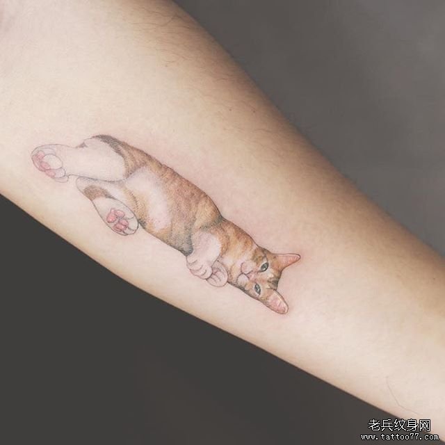 腿部个性彩色猫咪纹身图案
