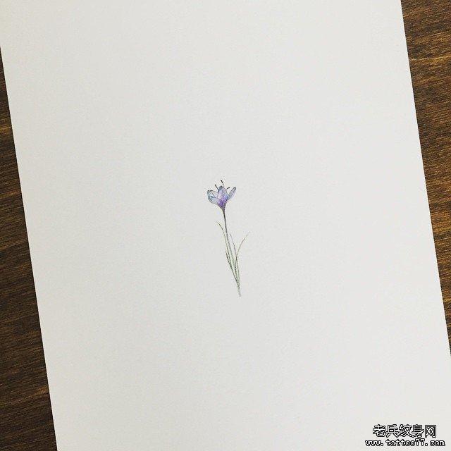 彩色 花卉 纹身手稿