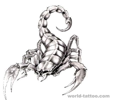 武汉最好的纹身店：蝎子纹身图案图片