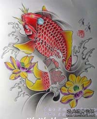 多张经典的鲤鱼纹身图片手稿供大家欣赏