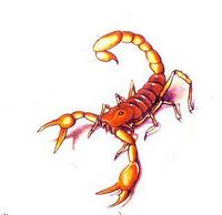 一款彩色蝎子纹身图案图片