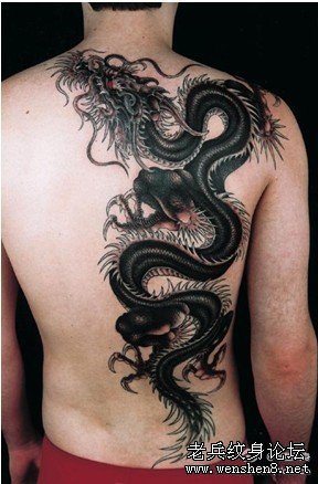 龙纹身图案大全：背部龙纹身图案纹身图片