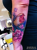 手臂彩色小鸟喜鹊花卉纹身