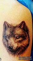 美女腿部狼头纹身图案