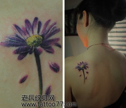 美女肩部邹菊纹身图案