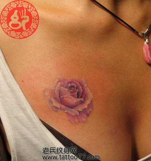 美女胸部紫玫瑰纹身图案