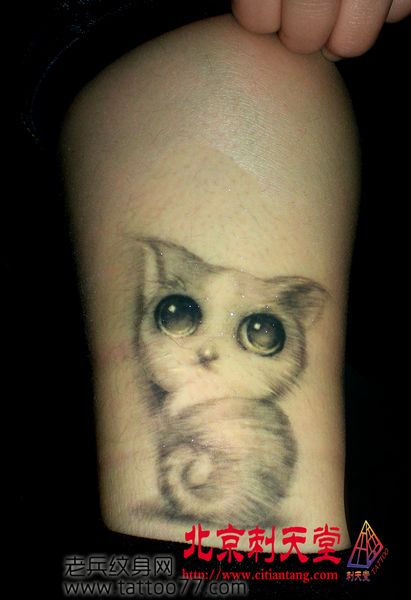 女生纹身图案—可爱流行的猫咪纹身图案