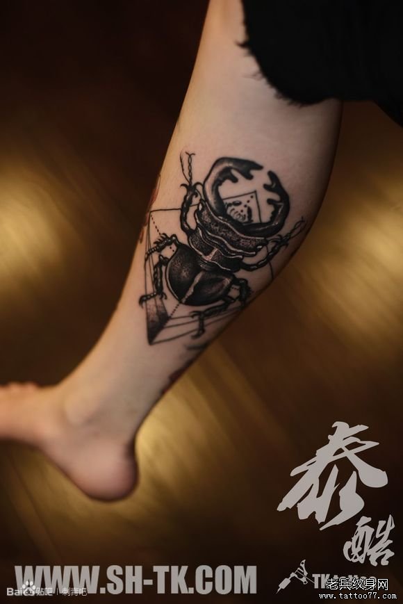 ͼΪṩͣͼƬԻ飬ϵվ鿴ͼ½人רҵϱhttp://www.tattoo77.com/