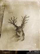 ָͼ人ṩ